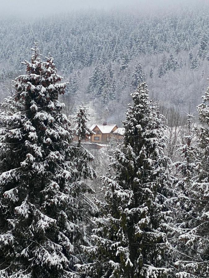 Шалe У Пилипці Chalet Pylypets Pilipets Exterior foto